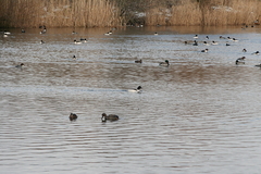 Killikus&reg; Fotographie